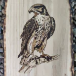 Pirografía Águila