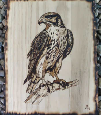 Pirografía Águila