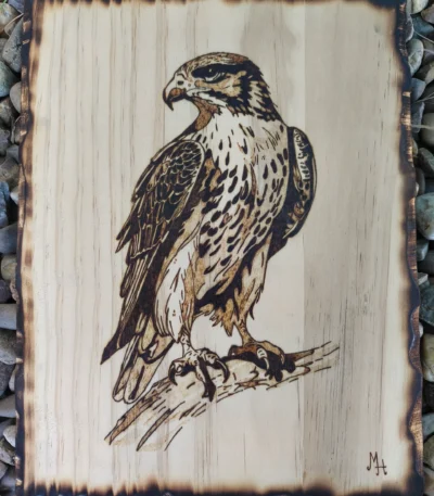 Pirografía Águila