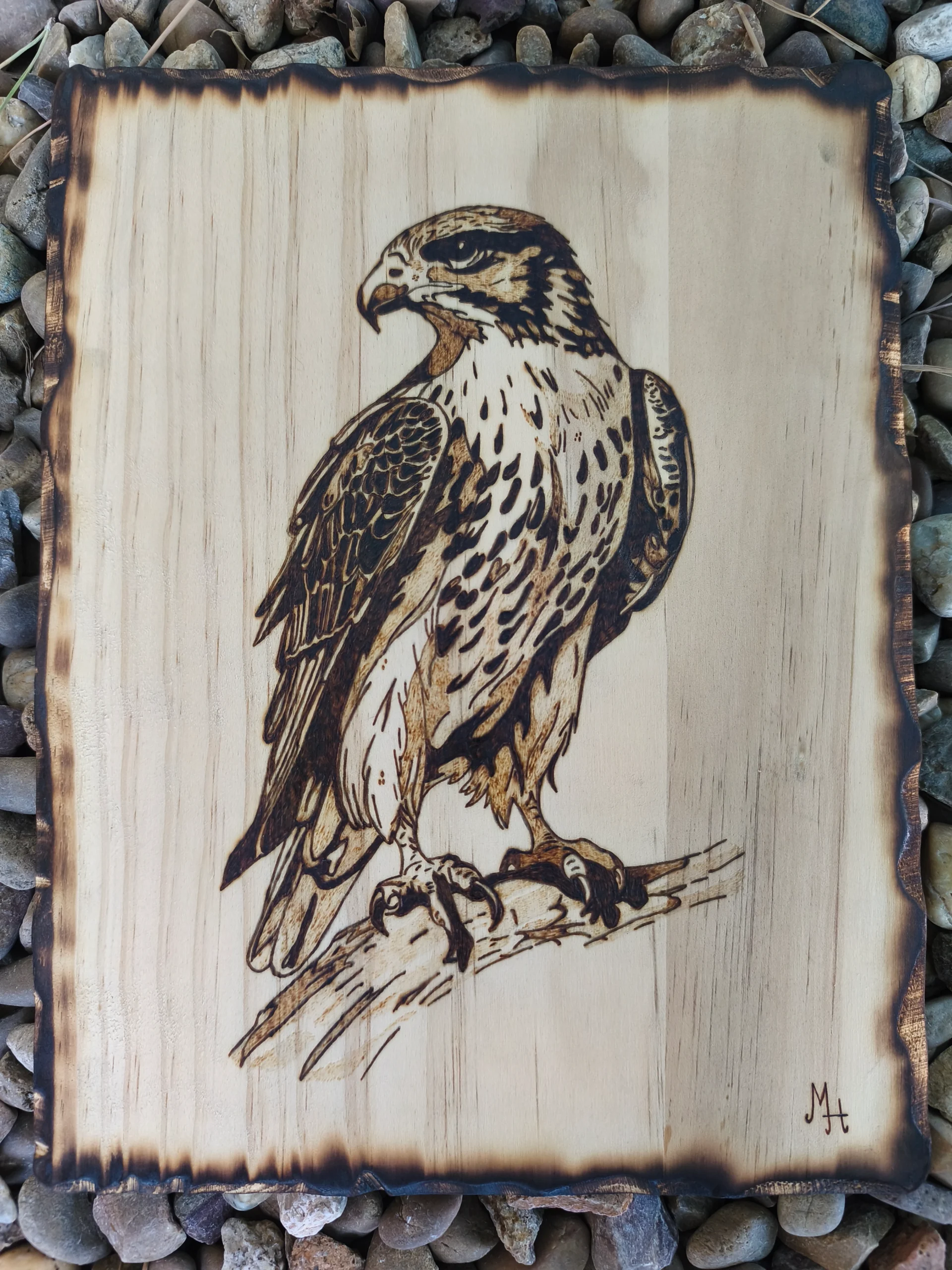 ÁGUILA 23X30X0,5 cms 145 gr precio 97 euros Pirografía Águila