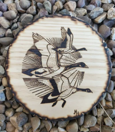 Pirografía Patos